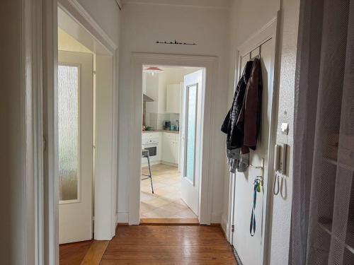 une cuisine avec un réfrigérateur blanc et un couloir dans l'établissement Laiterie, appartement confort, à Strasbourg