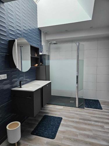 a bathroom with a shower and a sink and a mirror at Les Bulles de Bonheur - Au Cœur du Vignoble Champenois in Chouilly