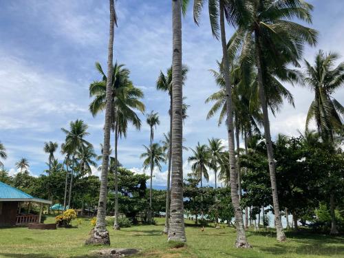 Taman di luar Camotes Affordable Staycation