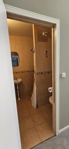 a bathroom with a shower and a toilet at Stora Ekeberg vandrarhem in Axvall