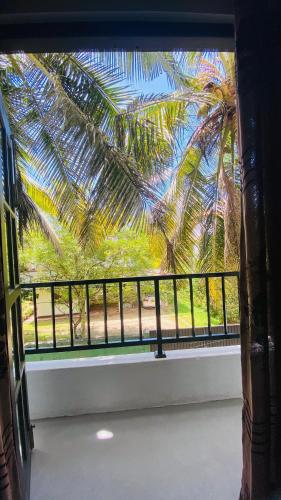 a window with a view of a palm tree at COCO Rooms in Galle