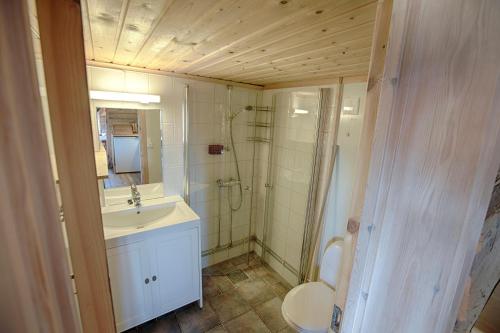 a bathroom with a sink and a shower and a toilet at Charming Cabin with Old Timber, Fireplace & Views in Beitostøl