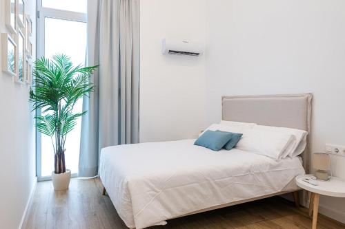 Main Lofts Valencia