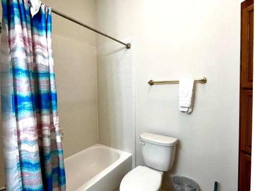 a bathroom with a toilet and a shower curtain at Custom luxury house in Katy near I10 and 99 in Katy