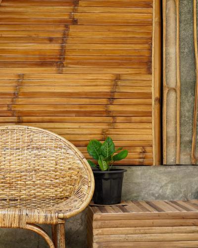 a plant in a pot next to a wooden wall at The Backyard Inn in Moalboal