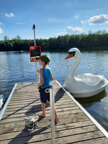 a young girl standing on a dock next to a swan at Hotel am Stadtpark in Borken
