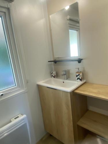 une salle de bain avec un lavabo et un miroir dans l'établissement Chez Isa, à Saint-Julien-en-Born