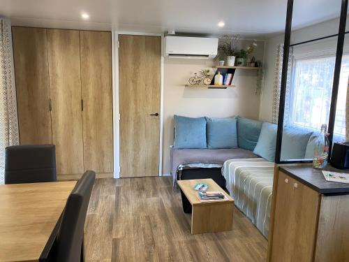 un salon avec un canapé et une table dans l'établissement Chez Isa, à Saint-Julien-en-Born