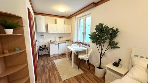 a small apartment with a kitchen and a table at Hochkogelhaus - flying oasis, Hohe Wand in Maiersdorf