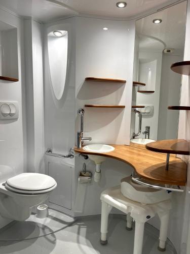 une salle de bain avec toilettes, lavabo et miroir dans l'établissement Mobil-home 2 chambres PMR - Camping la Faloise, à Angicourt