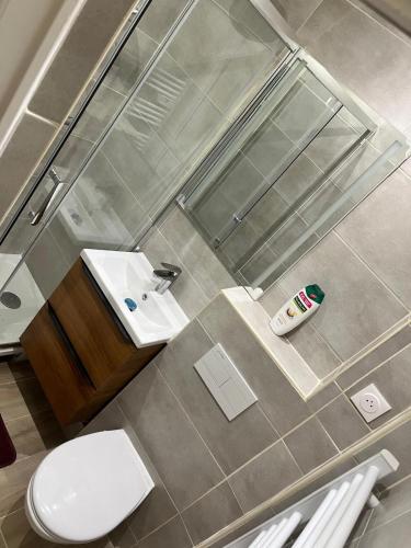 une salle de bain avec une douche, des toilettes et un lavabo dans l'établissement Charmant F2 de 35 m2 idéalement situé à Épinay-sur-Seine, à Épinay-sur-Seine