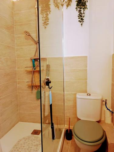 a bathroom with a toilet and a glass shower at Le Cosy Perpignan Centre, 2 rooms, 2 bathrooms, free WIFI, free parking, lift, central, renovated, spacious in Perpignan