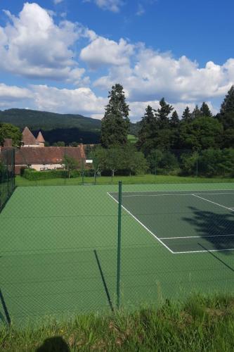 a tennis court with a net on top of it at Holiday Home La Maison du Chateau by Interhome in La Tagnière
