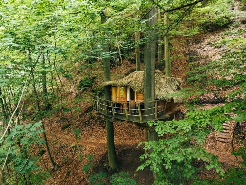 Treehouse Trenčianske Teplice