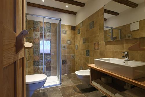 a bathroom with a sink and a toilet and a shower at Agriturismo Soleseid in San Vigilio Di Marebbe