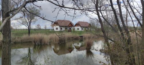 a house sitting on the side of a body of water at Csodaszarvas Vendégházak in Rábahidvég