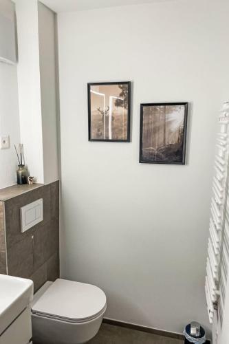 two pictures on the wall of a bathroom with a toilet at Apartment Parkareal - Utoring-12 by Interhome in Bolgen