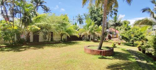 a yard with a palm tree and a building at Rithu Beach Villa in Alleppey
