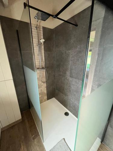 a shower with a glass door in a bathroom at Wildenburgs klaverhuisje in Wingene