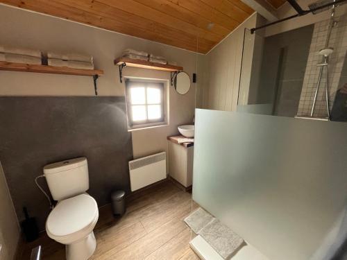 a bathroom with a toilet and a sink and a window at Wildenburgs klaverhuisje in Wingene
