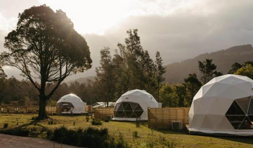 a group of three tents in a field at Wilder Tasmania in Gowrie Park