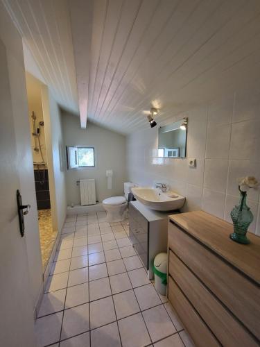 a bathroom with a toilet and a sink and a mirror at Chambre ERREGUINA in Hasparren