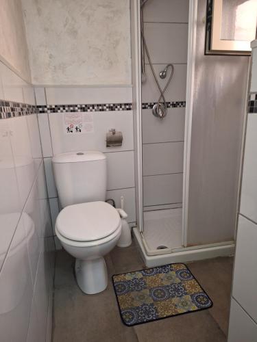 a small bathroom with a toilet and a shower at Homesweet in Catania