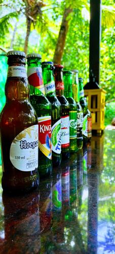a row of beer bottles sitting on a table at Samyama Retreat in Cola