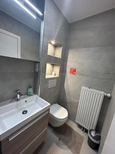 a bathroom with a white sink and a toilet at CASA BOX PREMIUM free garage in Maribor