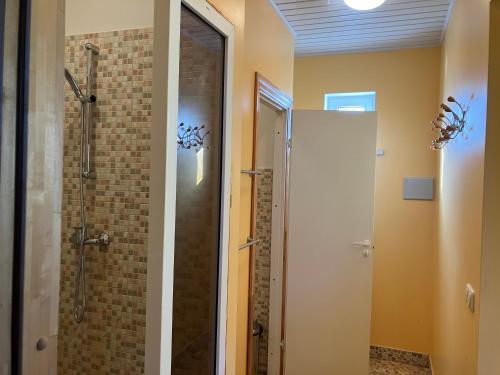 a bathroom with a shower and a walk in shower at Pirts cottage in Kaltene