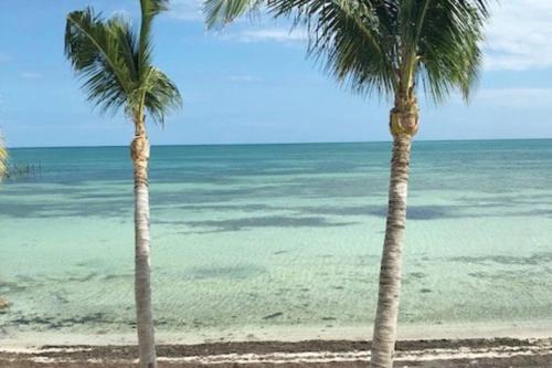 two palm trees on a beach with the ocean at Bungalows Beach Key West - Azucar in Key West