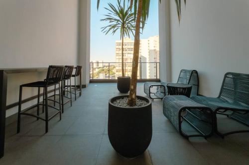 a room with a palm tree and chairs and a balcony at Excelente Espaço Centro CA904 in Maringá