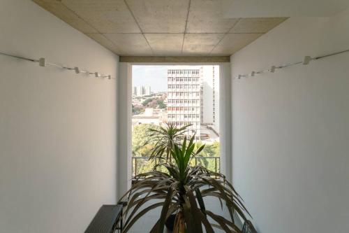 a plant in a room with a large window at Excelente Espaço Centro CA904 in Maringá