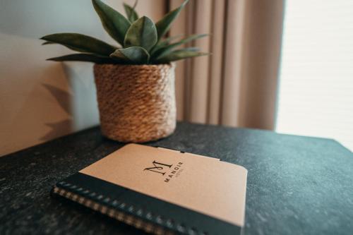 a book sitting on a table next to a potted plant at Hôtel Le Manoir in Marche-en-Famenne