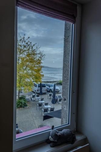 une fenêtre avec un chat posé sur un rebord de fenêtre dans l'établissement Ti Gwer - vue mer - wifi, à Crozon