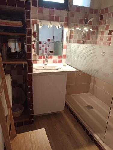 une salle de bain avec un lavabo et une douche dans l'établissement Petite Suite Douillette, à Saint-Pargoire