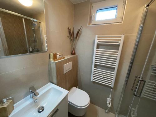a bathroom with a toilet and a sink and a shower at Chatička Lukov in Lukov