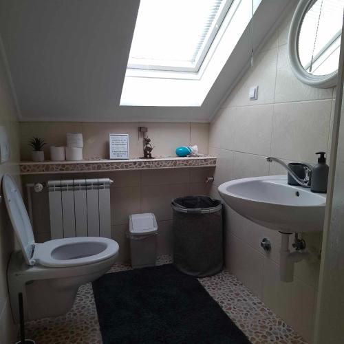 a bathroom with a toilet and a sink with a skylight at Villa Sabic in Sarajevo