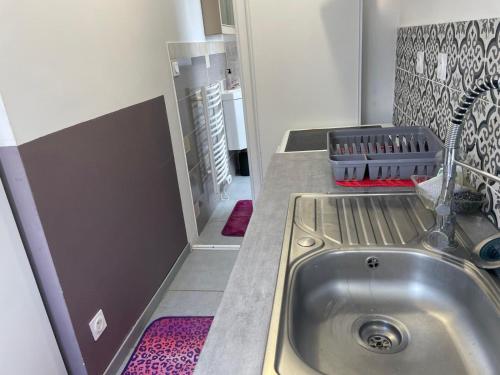 una cucina con un lavello e un piano di lavoro di Petite maison cosy au fond du jardin a Belle-Église