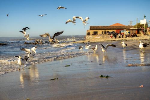 Gallery image of Departamento de Vynka in Algarrobo