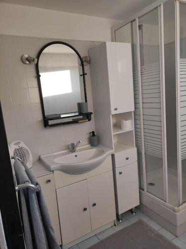 une salle de bain avec un lavabo et un miroir dans l'établissement Studio avec chambre Camargue, à Arles