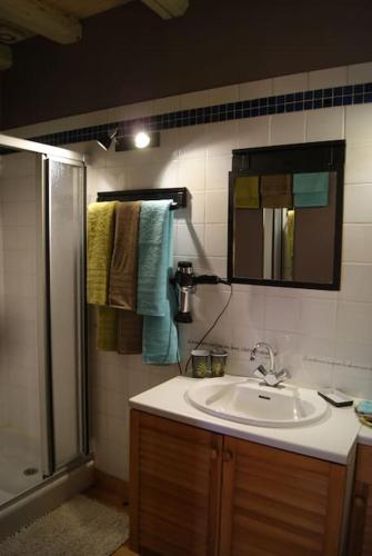 une salle de bain avec un lavabo, une douche et un miroir dans l'établissement Maison Marianne et sa Piscine dans le Périgord, à La Bachellerie