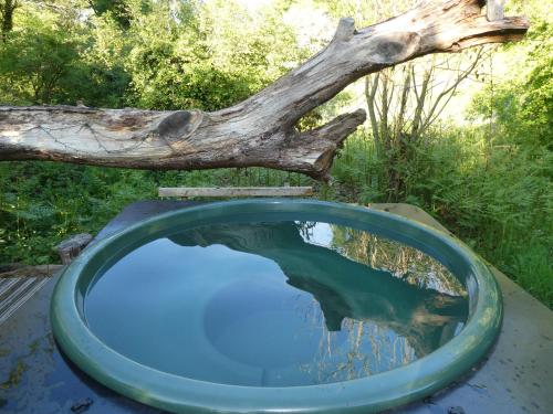 a pool of water with a tree reflection in it at Cosy-Hilltop-Yurt-StunningViews-Nature-HotTub in Cornworthy