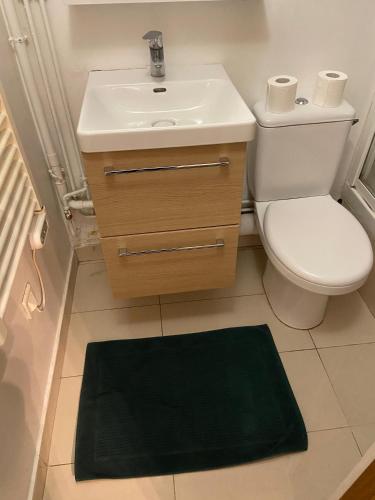 La salle de bains est pourvue d'un lavabo, de toilettes et d'un tapis vert. dans l'établissement Appartement Pasteur Rue de Vaugirard, à Paris