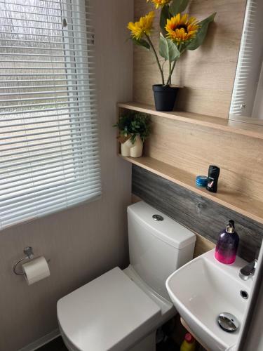 a bathroom with a white toilet and a sink at Mimosa lodge in Little Clacton
