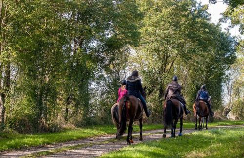 a group of people riding horses down a dirt road at Domaine des Thomins in Cisai-Saint-Aubin