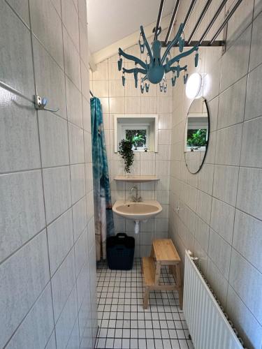 a bathroom with a sink and a mirror at Achterhoekhuisje De Rode Beuk in Hummelo