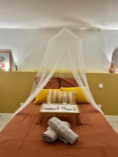 une chambre avec un lit avec moustiquaire dans l'établissement Charmante escapade, à Perpignan