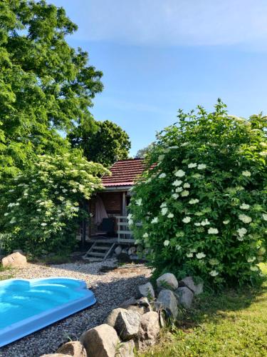 a garden with a house and a large tree at Schuberts Oderbruch Landpension in Neulewin
