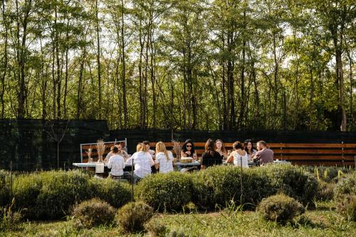 a group of people standing around a table in a garden at The Tribe Alpaca Retreat in Brăneşti
